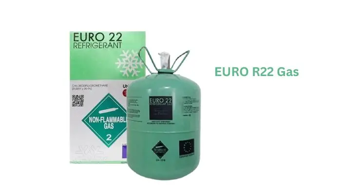 r22_euro_article
